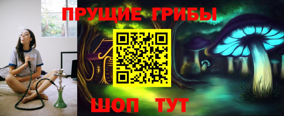 Галлюциногенные грибы мицелий  Вход с VPN  Красногорск  Псилоцибиновые грибы GOLDEN TEACHER 